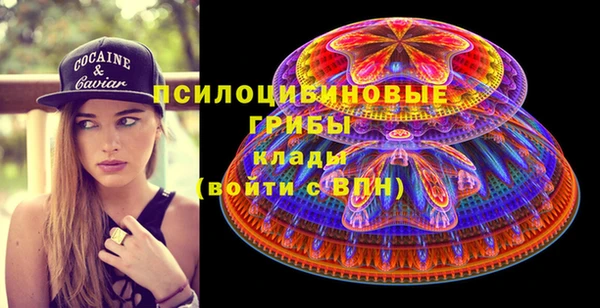 mdpv Волоколамск