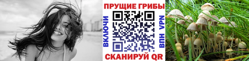 Галлюциногенные грибы ЛСД  где можно купить   Балаково 